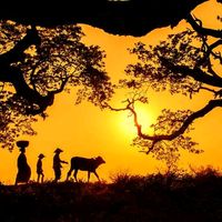 meleager.cohen61httpsvt0