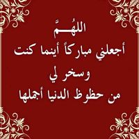 user3207000269626