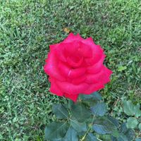 maheswari_senthu_kallai