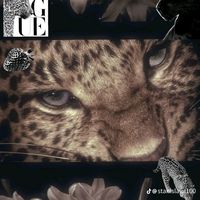 user3916725152054