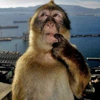 0_kerokero_