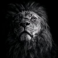 _oalvess7