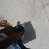 sxlecitx.m