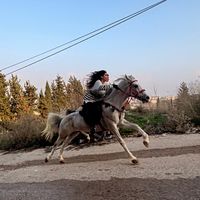 em_soltan
