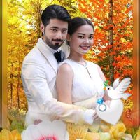 habibimeera