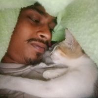 coll_me_amir