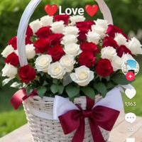 soniya.shazadi03