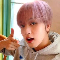 fullsun_ncit0606