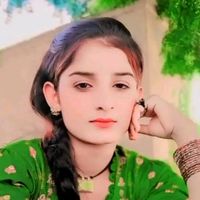 hgjh559