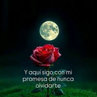 ...canchis