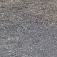 userpcn8qanmwn