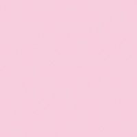 flac_ssr