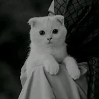 rajput_____6789