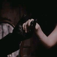 villaindarling