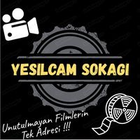 yesilcamsokagi9