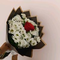 derya.derya920