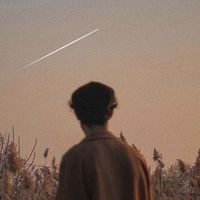 _siam_96