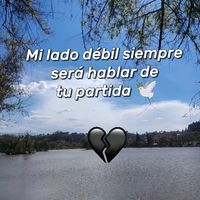 ...canchis