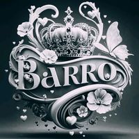 barrobarros952