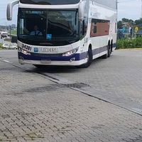 mauricioblumenausantacat