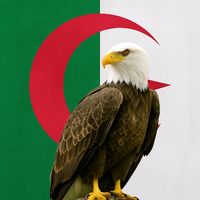 algerianeagle1