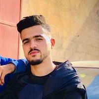 hamzadz352