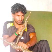 silambam_prakash