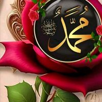 user9271215086540