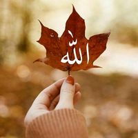 farhad_writes.8