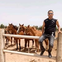 tarik.sarko