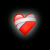rolitas_nb08