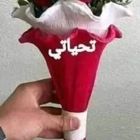 elansrimohammed