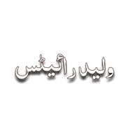 waleed__writes1